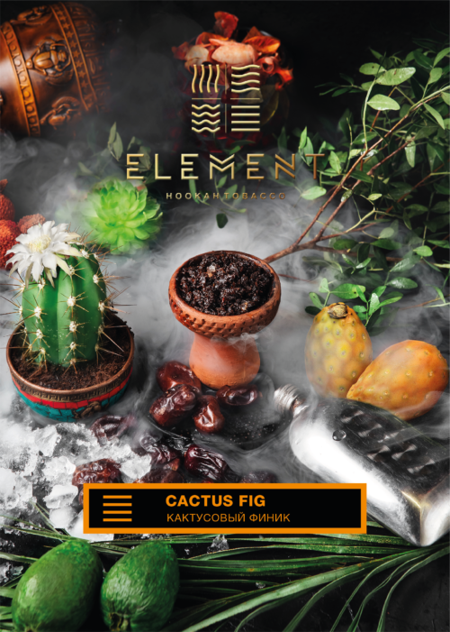 Element / Табак Element Земля Cactus Fig 40г в ХукаГиперМаркете Т24