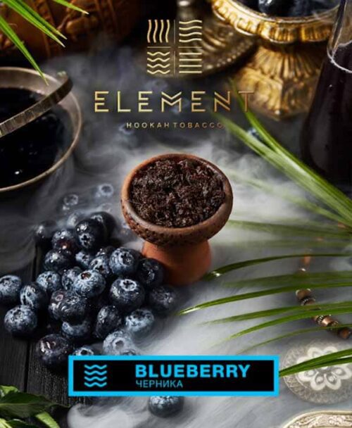 Element / Табак Element Вода Blueberry, 40г [M] в ХукаГиперМаркете Т24