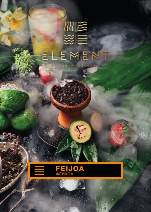 Element / Табак Element Земля Feijoa 200г [M] в ХукаГиперМаркете Т24