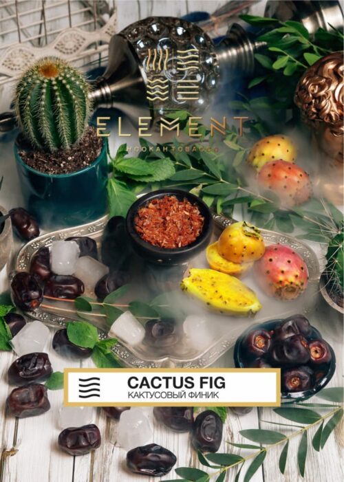 Element / Табак Element Воздух Cactus fig, 40г [M] в ХукаГиперМаркете Т24