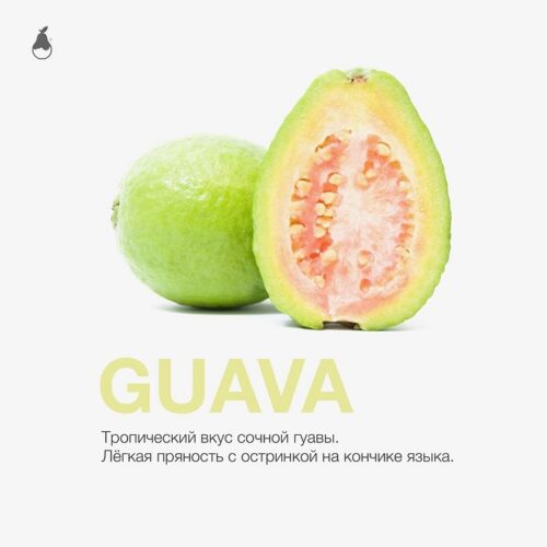 MattPear / Смесь для кальяна MattPear Guava, 50г в ХукаГиперМаркете Т24
