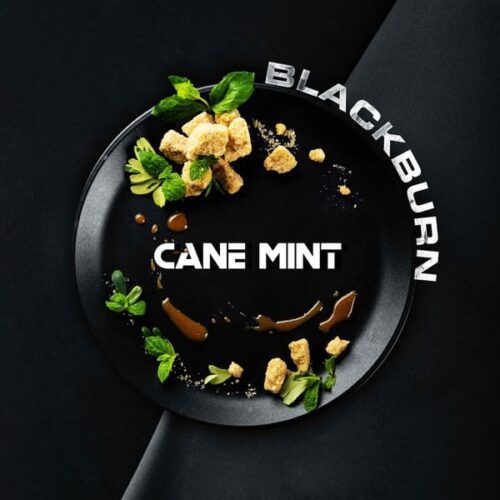 Burn / Табак Black Burn Cane Mint, 25г [M] в ХукаГиперМаркете Т24