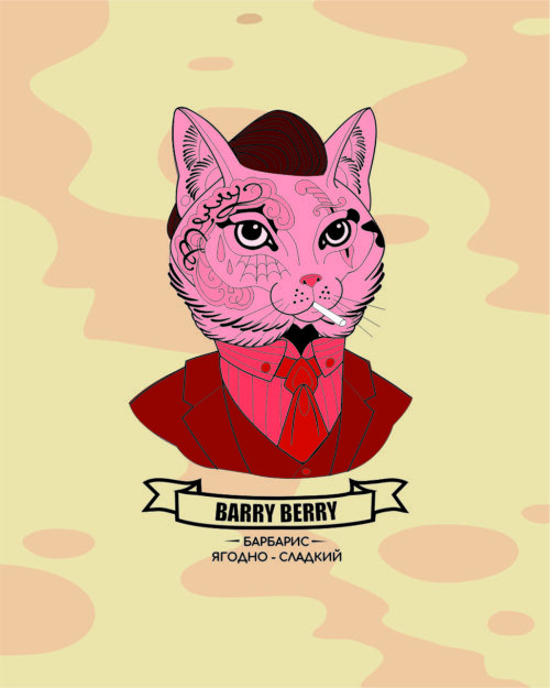 Mr Brew / Табак Mr Brew Barry berry, 40г [M] в ХукаГиперМаркете Т24