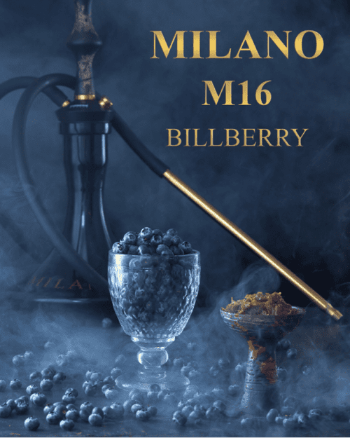 Milano Gold / Табак Milano Gold M16 Bilberry, 100г [M] в ХукаГиперМаркете Т24