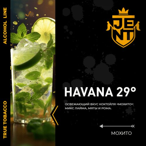 Jent / Табак JENT Alcohol line Havana 29°, 100г в ХукаГиперМаркете Т24