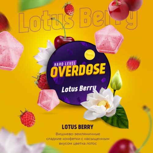 Overdose / Табак Overdose Lotus Berry, 100г [M] в ХукаГиперМаркете Т24