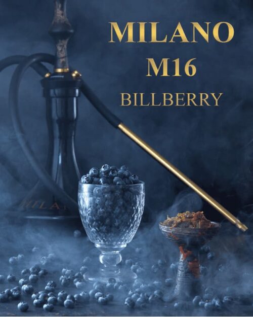 Milano Gold / Табак Milano Gold M16 Bilberry, 200г [M] в ХукаГиперМаркете Т24