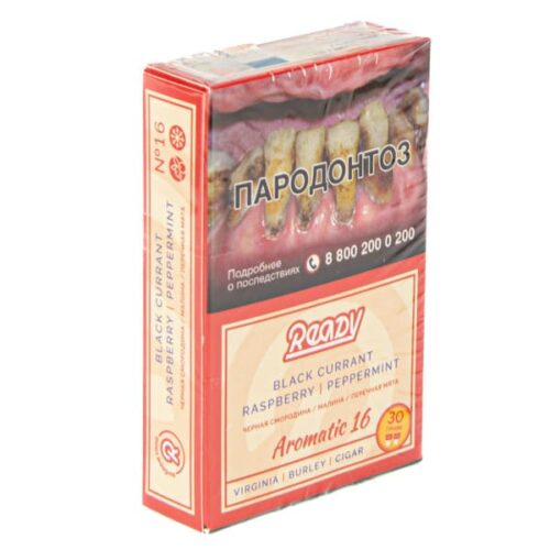 Ready / Табак Ready №16 Black currant Raspberry Peppermint, 30г [M] в ХукаГиперМаркете Т24