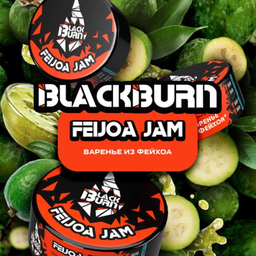 Burn / Табак Black Burn Feijoa Jam, 25г [M] в ХукаГиперМаркете Т24