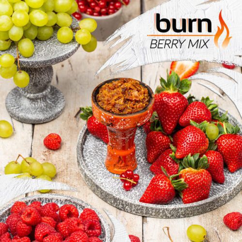 Burn / Табак Burn Berry mix, 100г [M] в ХукаГиперМаркете Т24