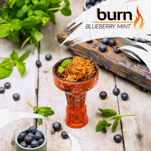 Burn / Табак Burn Blueberry mint, 100г [M] в ХукаГиперМаркете Т24