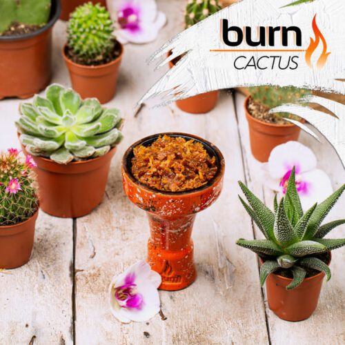 Burn / Табак Burn Cactus, 100г [M] в ХукаГиперМаркете Т24