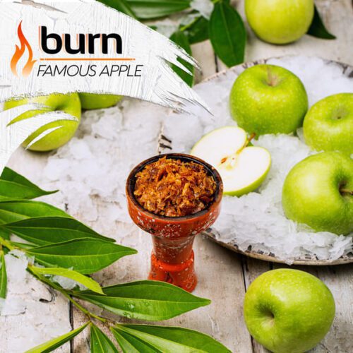 Burn / Табак Burn Famous apple, 100г [M] в ХукаГиперМаркете Т24