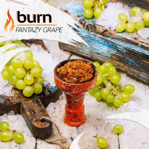 Burn / Табак Burn Fantazy grape, 200г [M] в ХукаГиперМаркете Т24