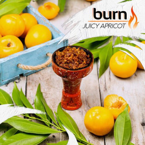 / Табак Burn Juicy Apricot, 100г [M] в ХукаГиперМаркете Т24