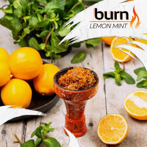 Burn / Табак Burn Lemon mint, 100г [M] в ХукаГиперМаркете Т24