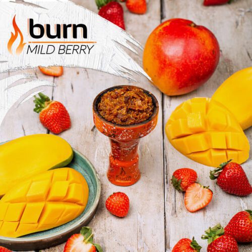 Burn / Табак Burn Mild berry, 100г [M] в ХукаГиперМаркете Т24