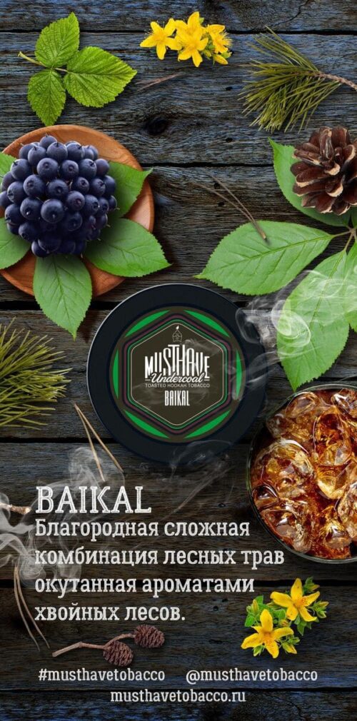 Must Have / Табак Must Have Baikal, 25г [M] в ХукаГиперМаркете Т24