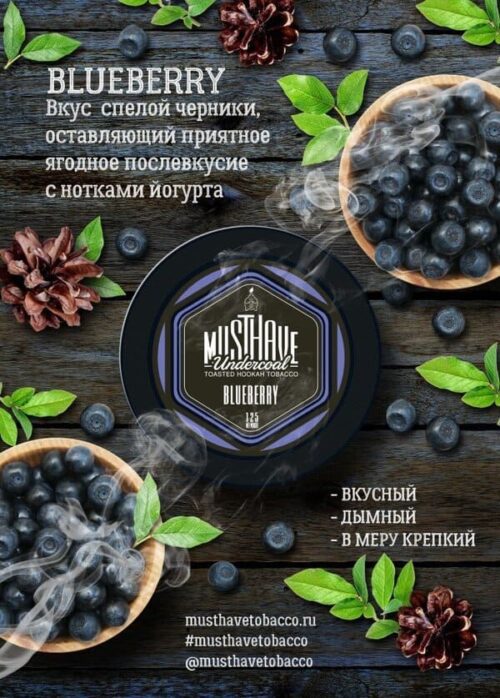 Must Have / Табак Must Have Blueberry, 25г [M] в ХукаГиперМаркете Т24