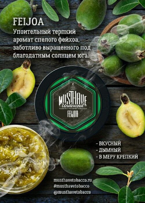 Must Have / Табак Must Have Feijoa, 125г [M] в ХукаГиперМаркете Т24