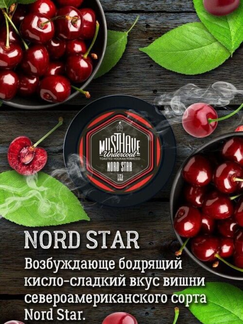Must Have / Табак Must Have Nord Star, 25г [M] в ХукаГиперМаркете Т24