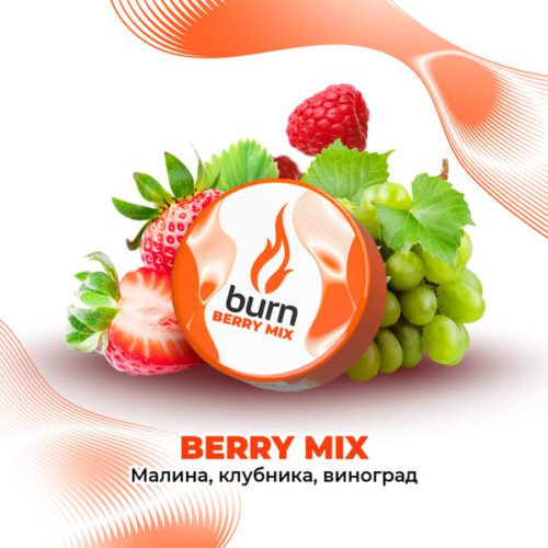 Burn / Табак Burn Berry mix, 200г [M] в ХукаГиперМаркете Т24