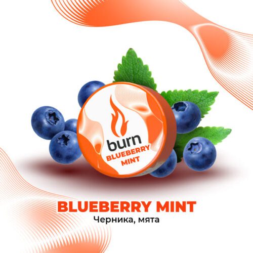 Burn / Табак Burn Blueberry mint, 200г [M] в ХукаГиперМаркете Т24