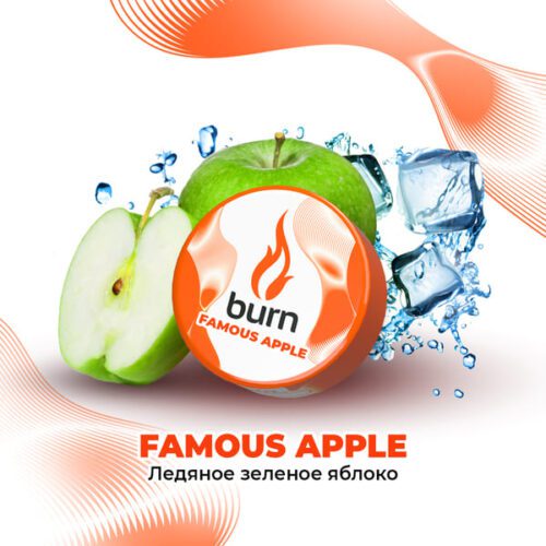 Burn / Табак Burn Famous apple, 200г [M] в ХукаГиперМаркете Т24