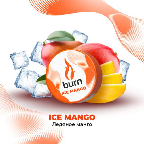 Burn / Табак Burn Ice mango, 200г [M] в ХукаГиперМаркете Т24