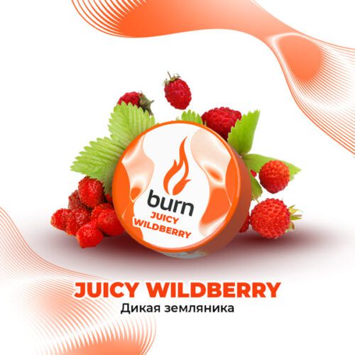 Burn / Табак Burn Juicy wildberry, 200г [M] в ХукаГиперМаркете Т24