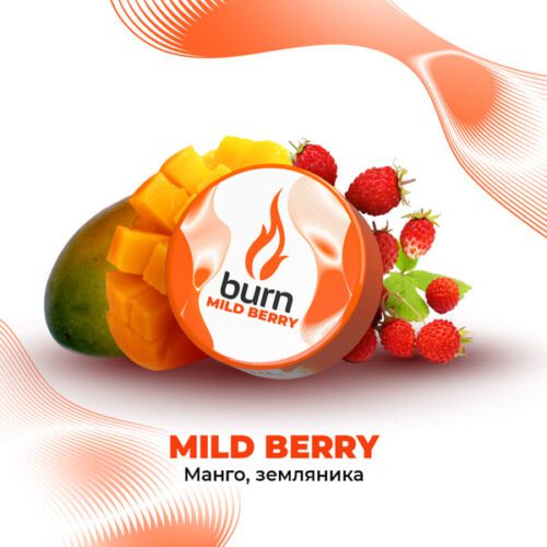 Burn / Табак Burn Mild berry, 200г [M] в ХукаГиперМаркете Т24