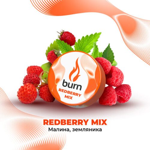 Burn / Табак Burn Redberry mix, 25г [M] в ХукаГиперМаркете Т24