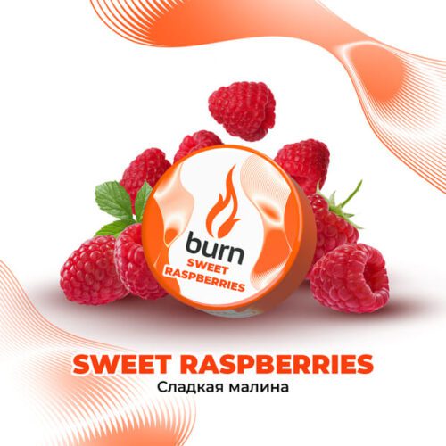 Burn / Табак Burn Sweet Raspberry, 200г [M] в ХукаГиперМаркете Т24