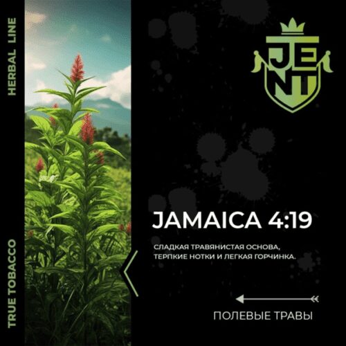 Jent / Табак JENT Herbal line Jamaica 4:19, 200г в ХукаГиперМаркете Т24