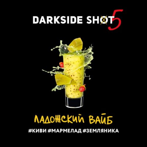 Dark Side / Табак Dark Side Shot Ладожский вайб, 120г [M] в ХукаГиперМаркете Т24