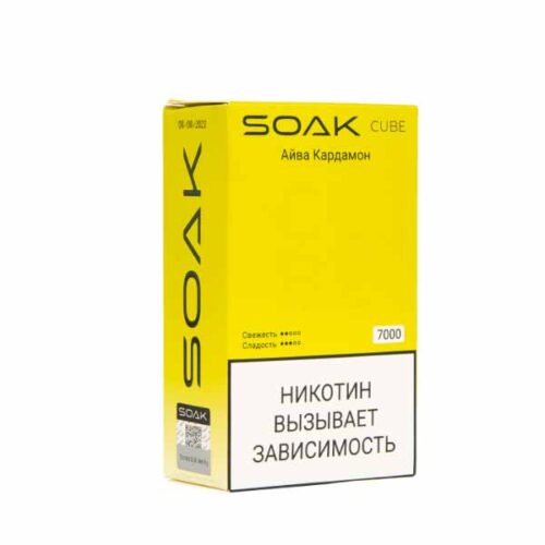 Soak / Электронная сигарета Soak Cube Айва кардамон (7000 затяжек, одноразовая) в ХукаГиперМаркете Т24
