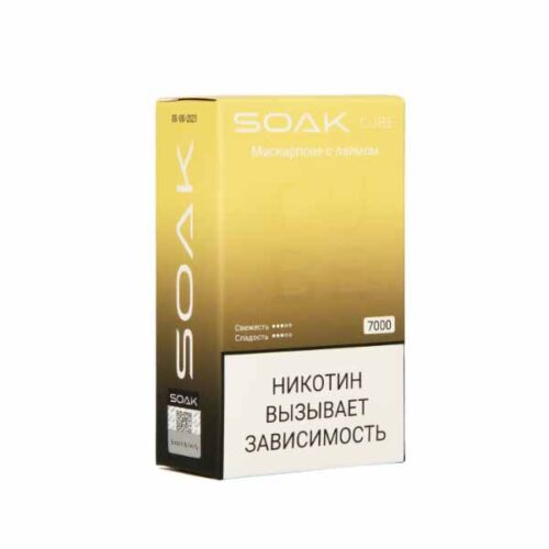 Soak / Электронная сигарета Soak Cube Маскарпоне с лаймом (7000 затяжек, одноразовая) в ХукаГиперМаркете Т24