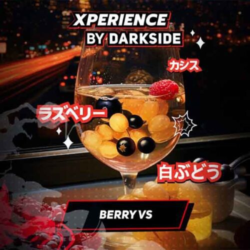 Dark Side / Табак Dark Side Xperience Berry Vs, 120г [M] в ХукаГиперМаркете Т24