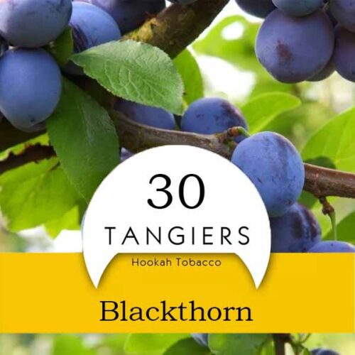 Tangiers / Табак Tangiers Noir Blackthorn, 50г [M] в ХукаГиперМаркете Т24