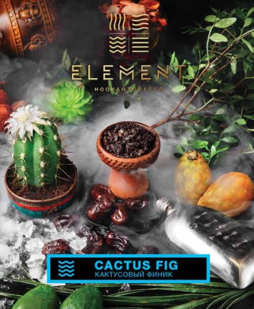 Element / Табак Element Вода Cactus Fig 200г [M] в ХукаГиперМаркете Т24