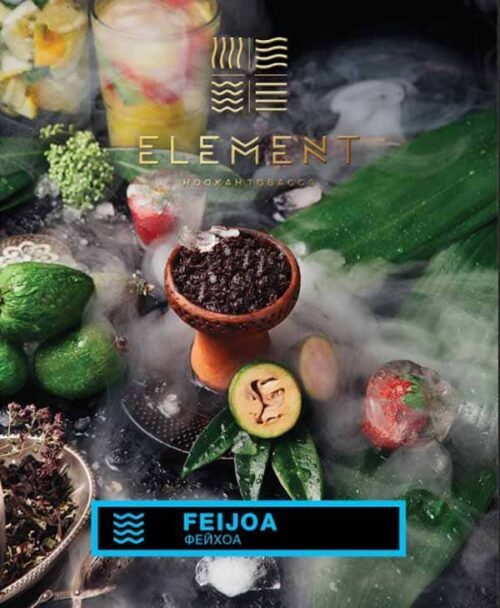Element / Табак Element Вода Feijoa, 200г [M] в ХукаГиперМаркете Т24