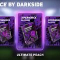 Новый дроп XPERIENCE by Dark Side Геймерские Вкусы приближаются к тебе
